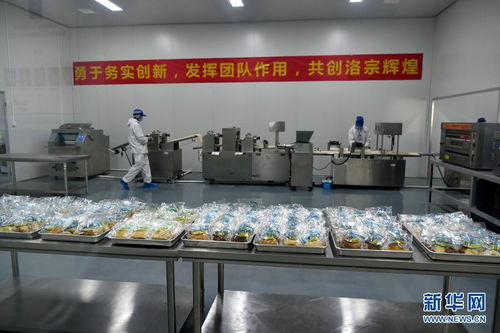 西藏洛隆 以青稞深加工技術(shù)開發(fā)，鋪就高原特色產(chǎn)業(yè)增收路